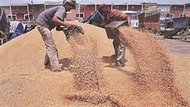 ACS Vineet Garg inspects procurement arrangements in Fatehabad and Ratia Grain Markets