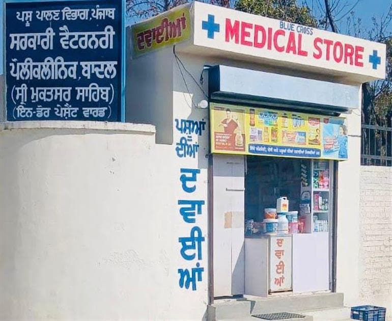 Punjab Govt to Launch ‘Blue Cross’ Veterinary Medicine Stores to Make Animal Healthcare Affordable 