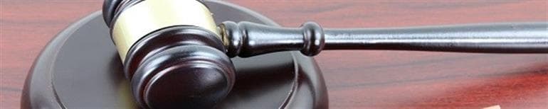 Punjab & Haryana High Court on Illegal Dog Fighting: “Any Citizen Can File FIR, Police Must Act”