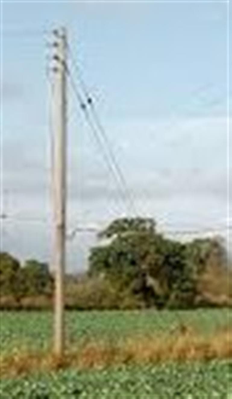 Punjab : Electricity Poles will remove from Farmlands; CM Mann to Launch Underground Wiring Project