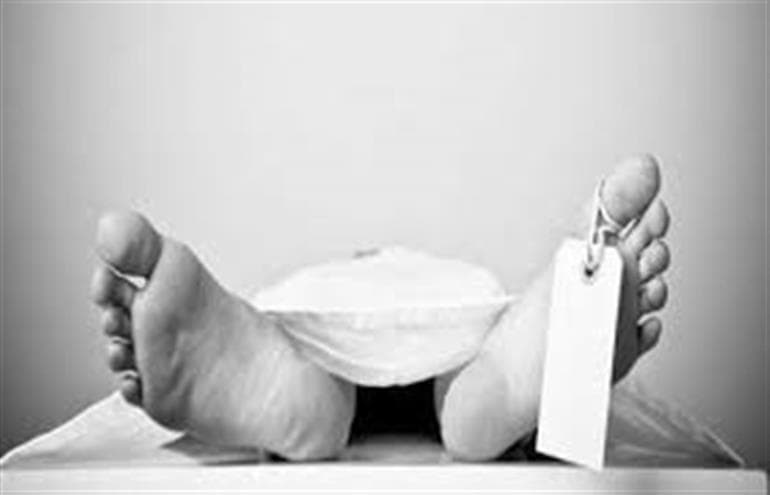 Servadar Dies During Nishan Sahib Service in Ludhiana: Falls 60 Feet After Crane Cable Snaps