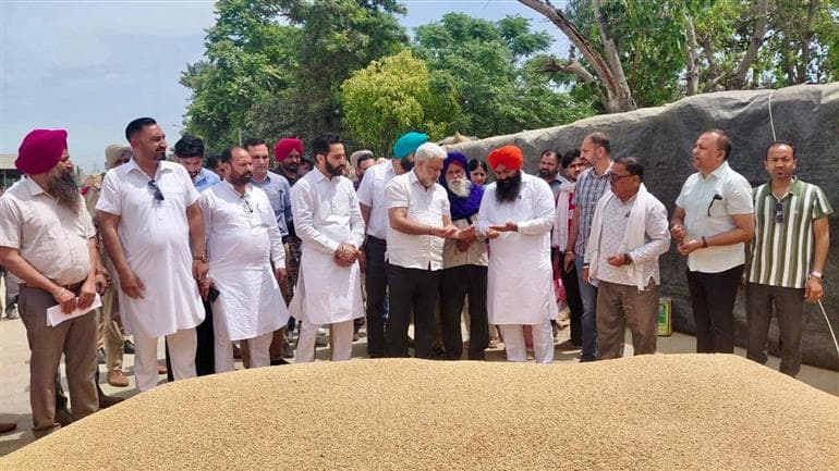 Wheat Procurement Gains Momentum in Punjab, Over 24 LMT Procured Out of 28 LMT Arrival 
