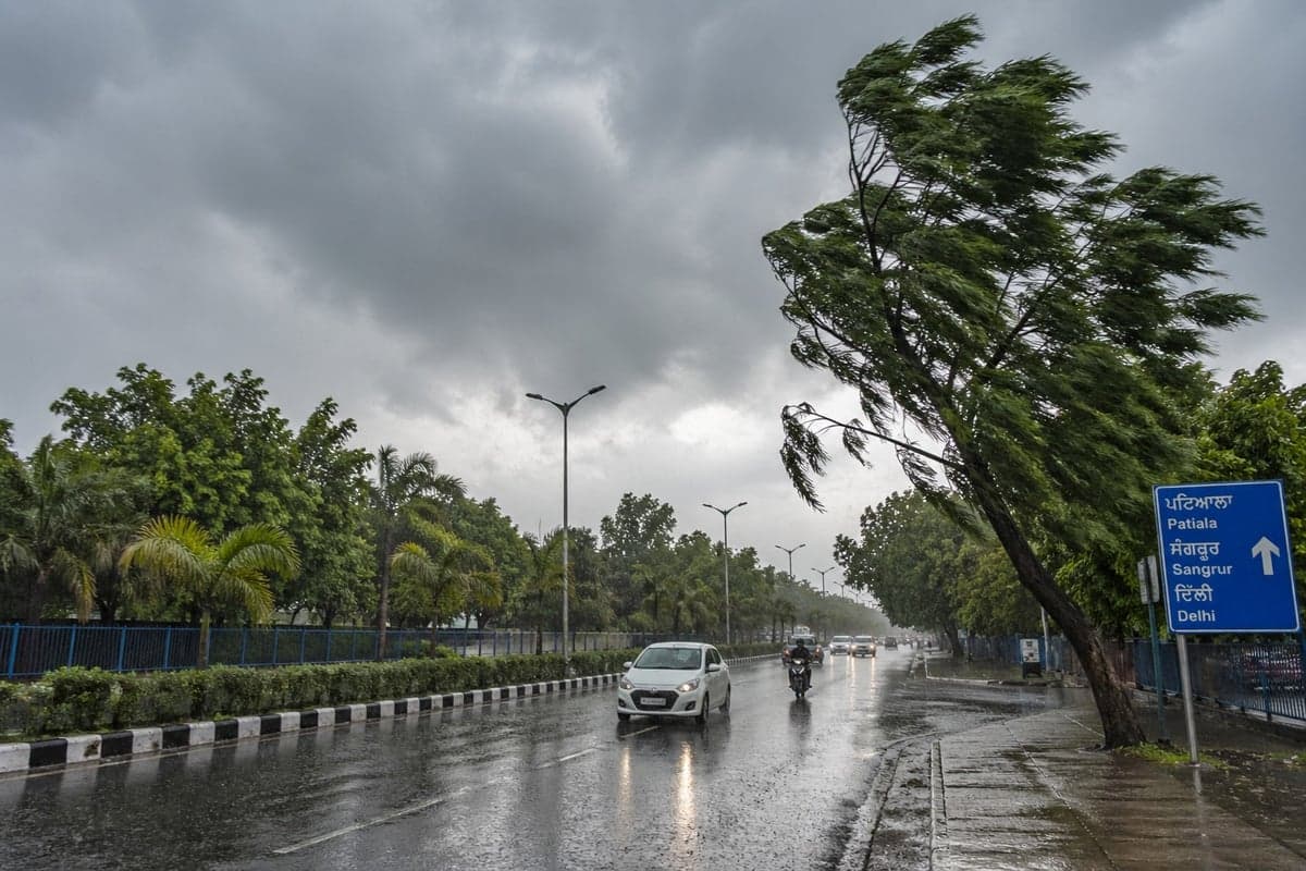 Rain Brings Relief from Scorching Heat in Punjab; Temperature Drops by 6°C