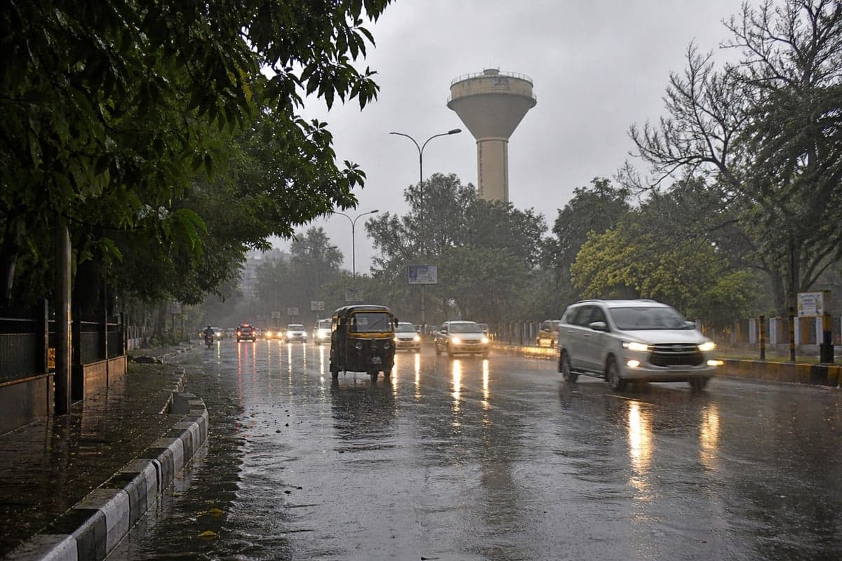 Punjab Weather: Mercury Drops After Rain and Strong Winds, Yellow Alert Issued for 5 Days