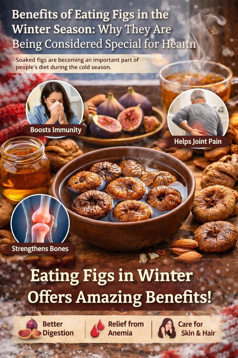 Benefits of Eating Figs in the Winter Season: Why They Are Being Considered Special for Health
