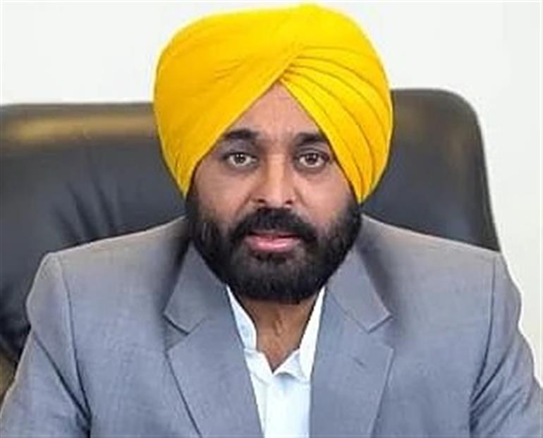 Punjab CM Mann Orders Special Crop Damage Survey After Rain and Hailstorm Losses
