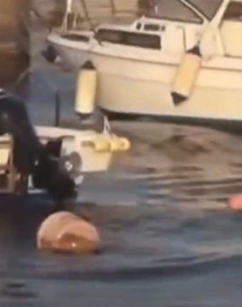 Powerful 7.5-Magnitude Earthquake Strikes Japan; Tsunami Warning Issued