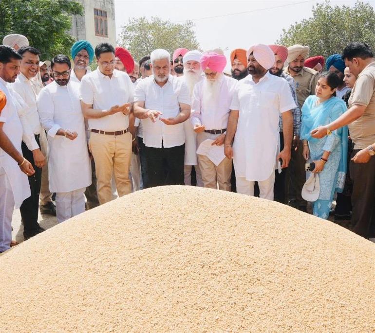 Lal Chand Kataruchak Reviews Wheat Procurement in Amritsar Grain Market