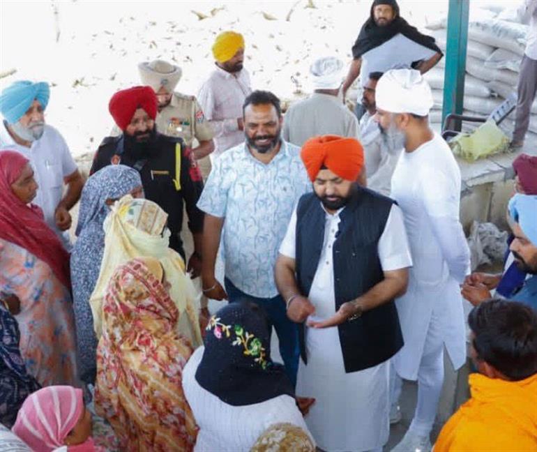 Punjab Govt Approves Over ₹123 Crore Relief Package for Crop Damage Caused by Hailstorm