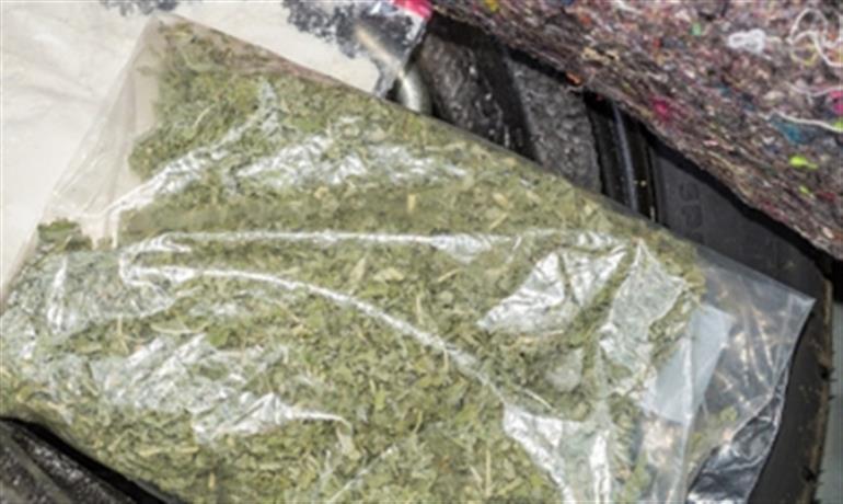 Delhi: Drug peddler held, over 12 kgs of cannabis recovered