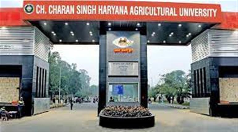 HAU Organises training camps to increase cotton production and provides information on advanced Technologies