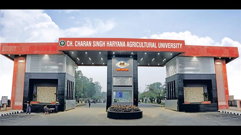 CCSHAU gets certificates for developing 3 designs from Patent Office