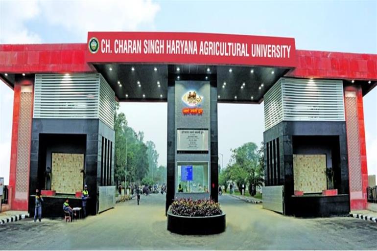 CCSHAU begins the admission process for the academic session 2024-25, application deadline June 10