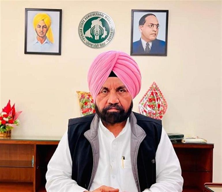  Wheat procurement in Punjab mandis reaches 100 percent : Barsat