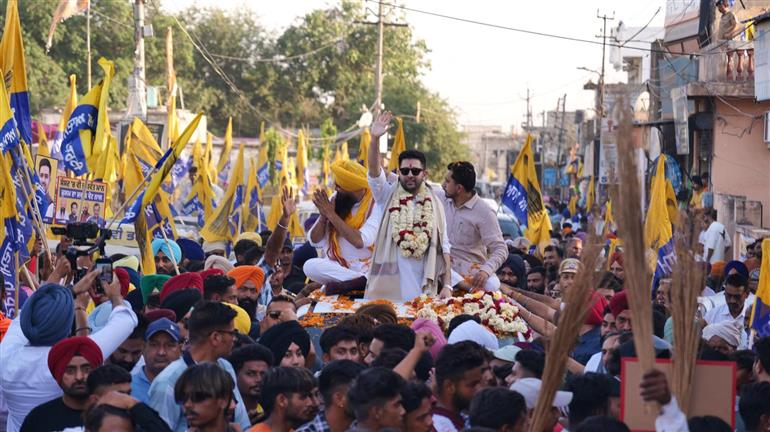 This is not an election to make an MP, this is an election to save the country&39;s democracy: Chadha