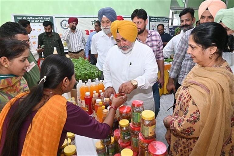  Mann Govt to export Pathankot litchis to foreign countries to increase farmers&39; income : Jouramajra