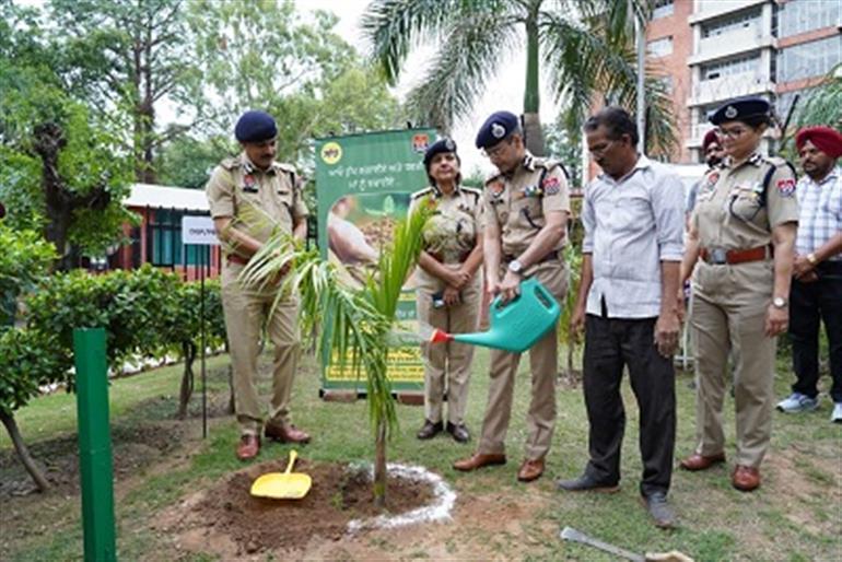 Punjab Police launches plantation drive to welcome monsoons, DGP plants &39;Bottle Palm&39; sapling at PPHQ