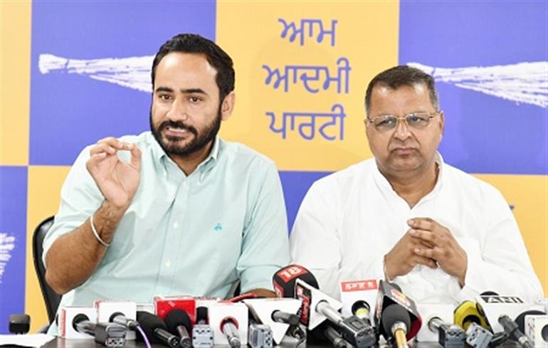 AAP govt is successfully reviving Punjab&39;s sports culture: Meet Hayer