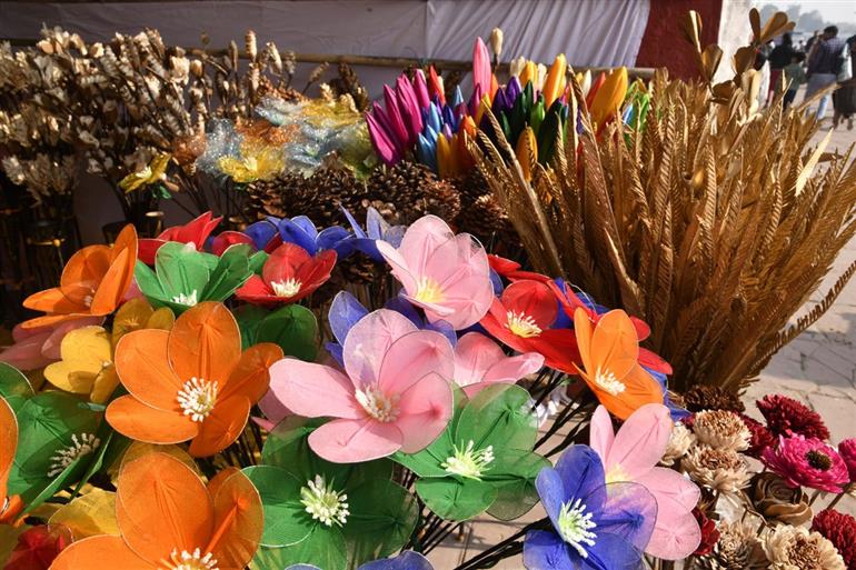 Sola wood flowers capture the attention of tourists at the International Gita Mahotsav