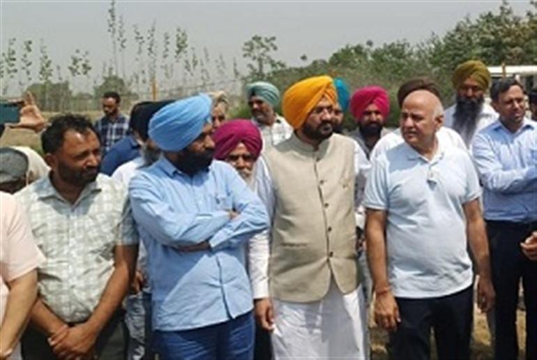 Punjab Govt Announces Sports Grounds in Every Village to Safeguard Youth from Drugs