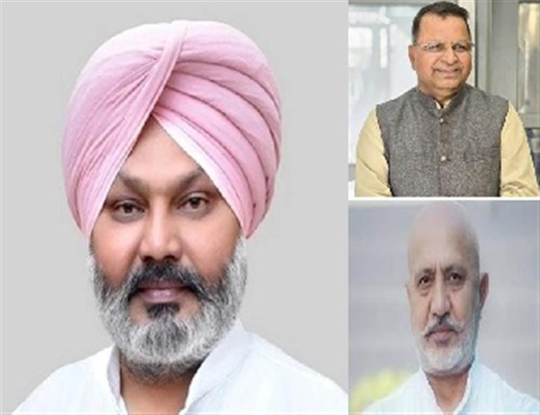 &39;Bajwa Is Only Concerned About His Politics Not Punjab&39;s Peace&39;