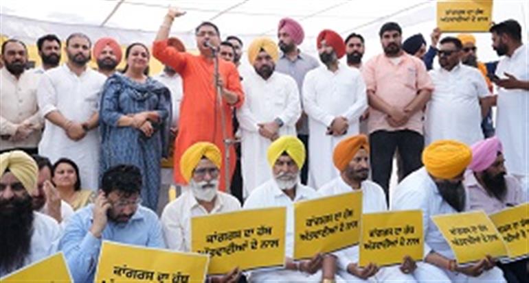 AAP&39;s &39;Halla Bol&39; Against Partap Bajwa; Thousands of AAP Volunteers Protest Against Congress Leader
