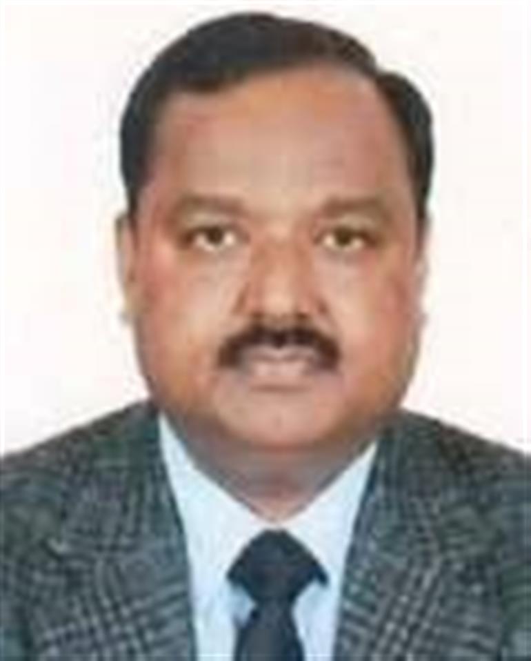 73.25 percent voting in Panchayat by-elections in Haryana