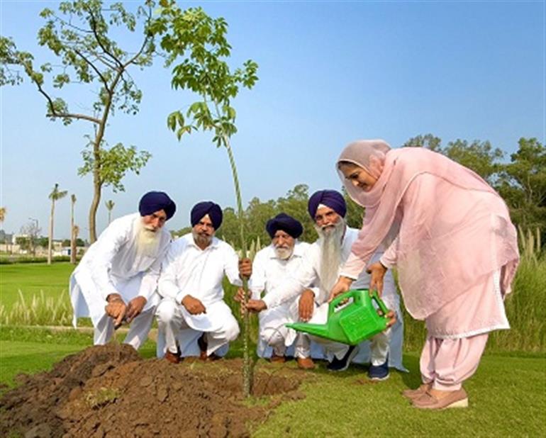 Recruitment committee began planting saplings as instructed by the Akali workers in the Hukamnama