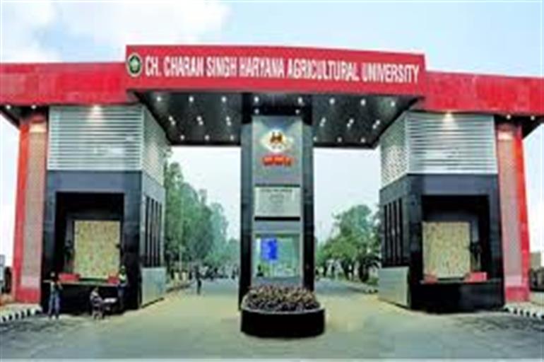 Haryana Govt forms four-member committee to address concerns of Agricultural University students
