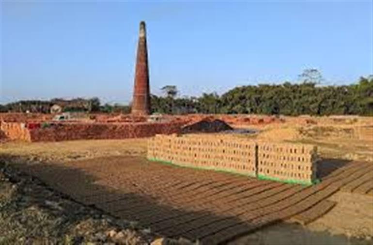 Use of paddy straw-based biomass pellets in brick kilns in Haryana mandatory