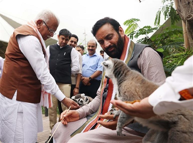 Haryana to Develop Asia’s Largest Jungle Safari in Aravalli Hills