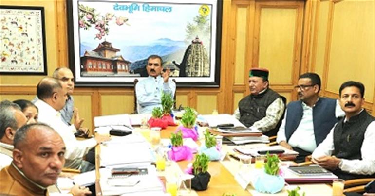 Himachal : Explore possibility of setting up bamboo processing factory: CM