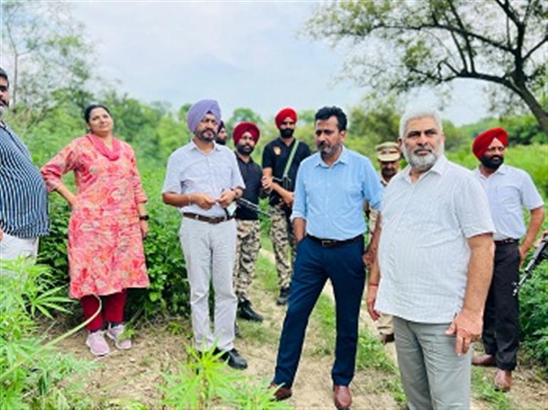 Kataruchak takes stock of plantation during whirlwind tour of Ballowal Saunkhri and Fatehpur nurseries