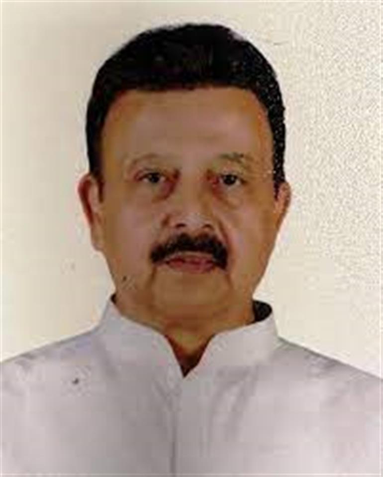 Subsidy to be reinstated for EVs priced below Rs 40 lakh: Rao Narbir