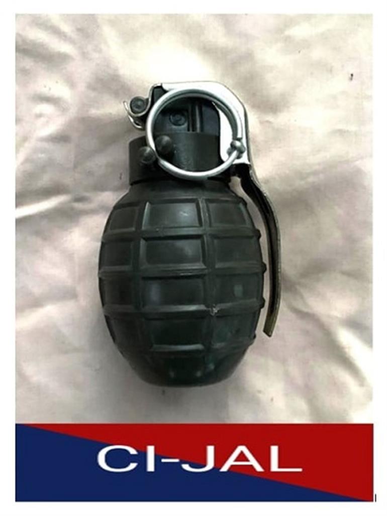 Two more operatives of BKI terror module held; One hand-grenade recovered