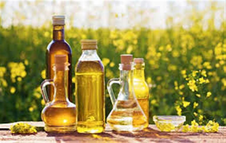 Haryana Govt forms ‘State Oilseeds Mission’ to Promote Oilseed Production