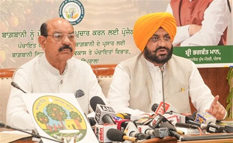 Punjab Govt launches special campaign for planting fruit trees on panchayati land