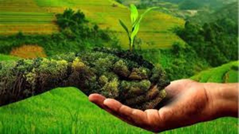 Himachal : 2,22,893 farmers engaged in Natural farming, 38,437 hectares of land under cultivation