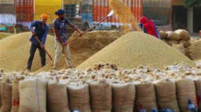 1,87,743.49 Metric Tonnes of Paddy Procured So Far from Haryana Mandis