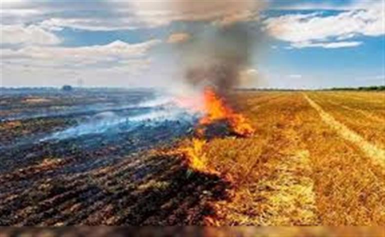 FIRs registered, fine imposed in all 3 stubble burning cases reported in state this season
