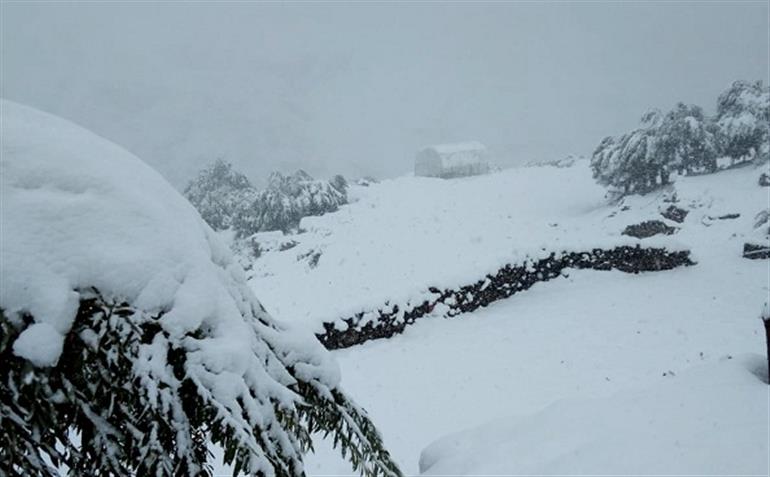 Himachal : Season first Snowfall in Lahaul Spiti&39;s Keylong