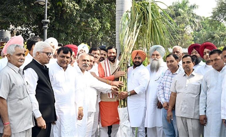 Farmers thank Chief Minister for Diwali gift of increased sugarcane MSP
