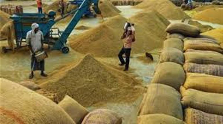 Paddy procurement season 2025 : Over 10 lakh farmers benefitted from MSP so far