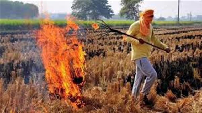 Haryana Reports 77% Drop in Stubble Burning Cases, Intensifies Air Pollution Control Measures