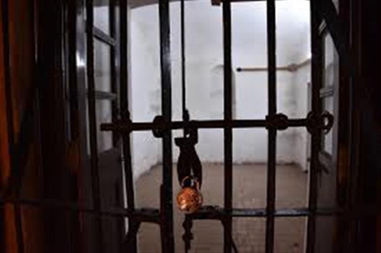 Skill Development Initiatives and Diploma Courses to Begin in Haryana Prisons