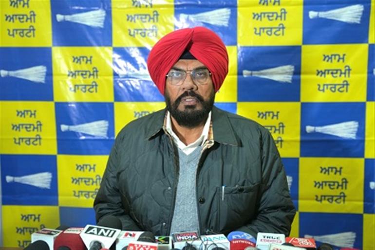 Strong Public Support for Mann Govt’s Development Model in Local Elections: Kuldeep Dhaliwal