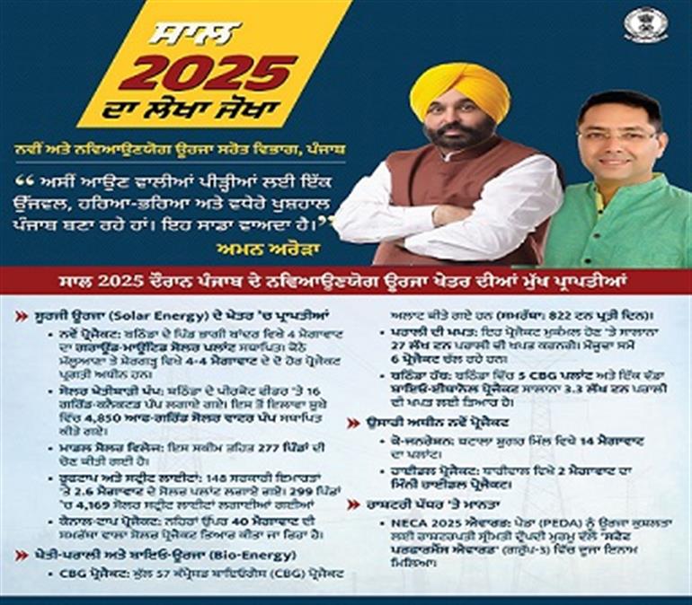 Aman Arora reflects on transformational progress in Punjab&39;s renewal energy sector during 2025