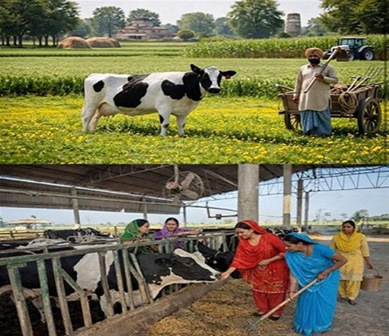 Registration fee slashed for new Agriculture, Dairy & Fisheries Cooperative Societies