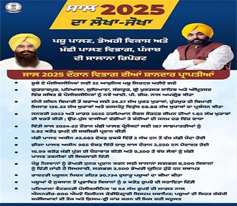 Punjab animal husbandry dept sails to success amid floods in 2025