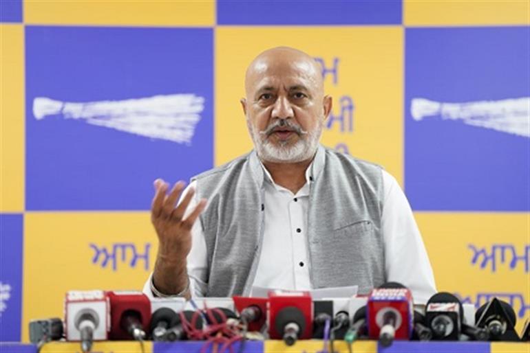 ‘Yudh Nashian Virudh’ Completes 300 Days: Punjab Sets an Unprecedented Benchmark in War Against Drugs